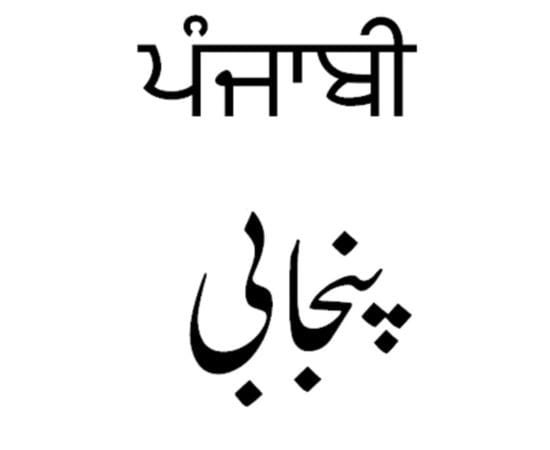Punjabi Translation Services in Dubai | ASLT