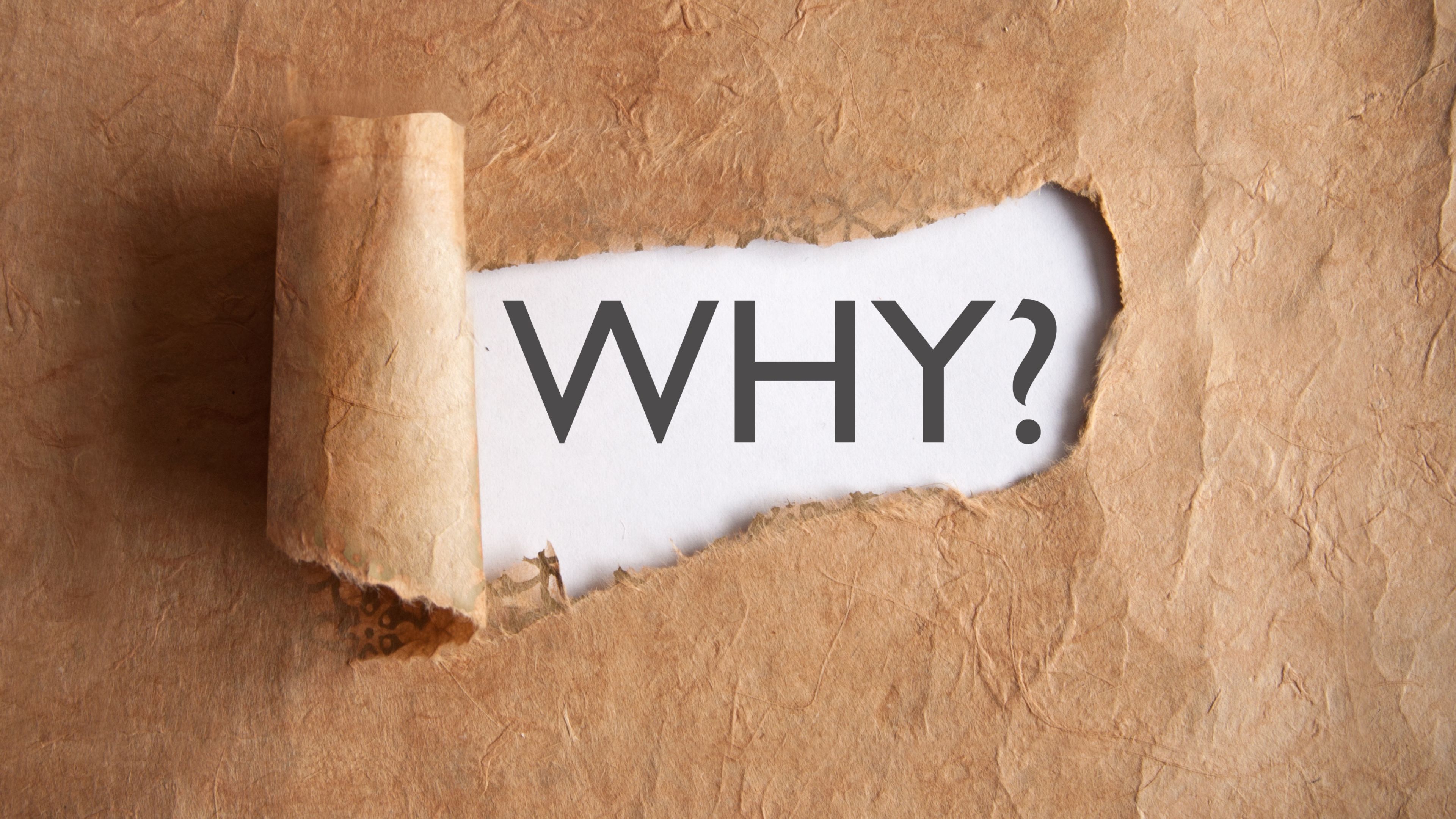 Legal Translation for Educational Certificates and Transcripts