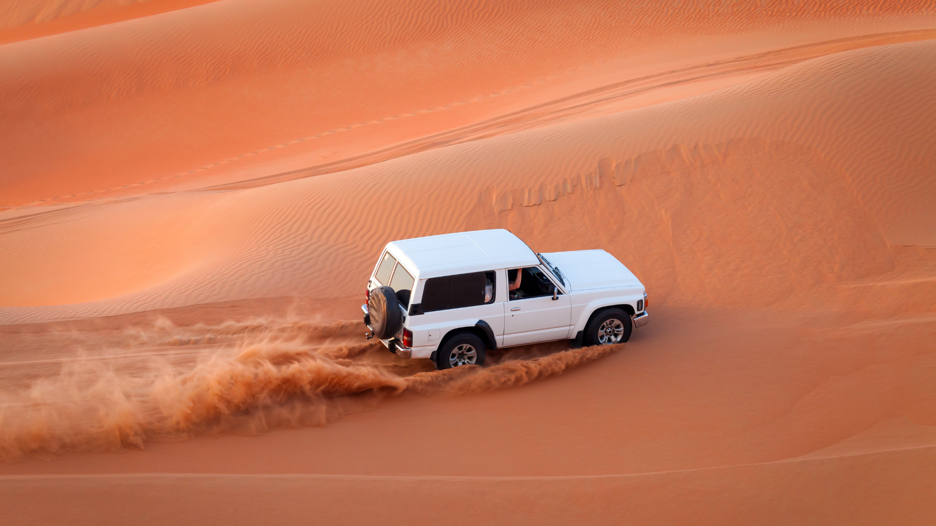 All Vehicles Power of Attorney (POA) Services in Dubai & UAE